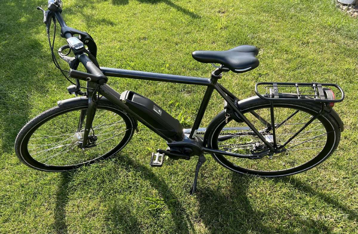 Batavus Razer E-go Lt