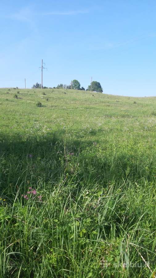Parduodu apleistą sodybą su žeme 3,5ha. ir 2,58ha - nuotraukos Nr. 4