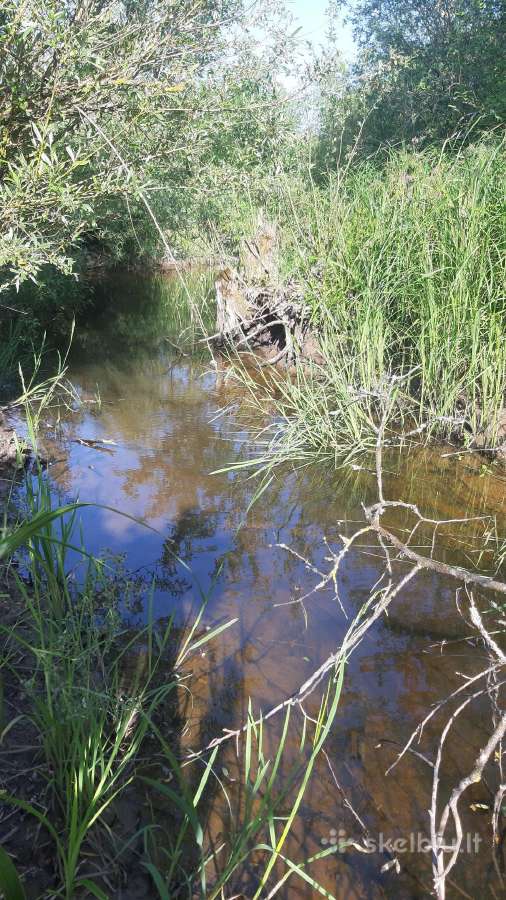 Parduodu apleistą sodybą su žeme 3,5ha. ir 2,58ha - nuotraukos Nr. 5