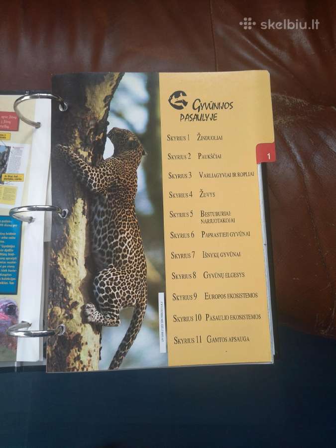 Gyvūnijos pasaulyje enciklopedija