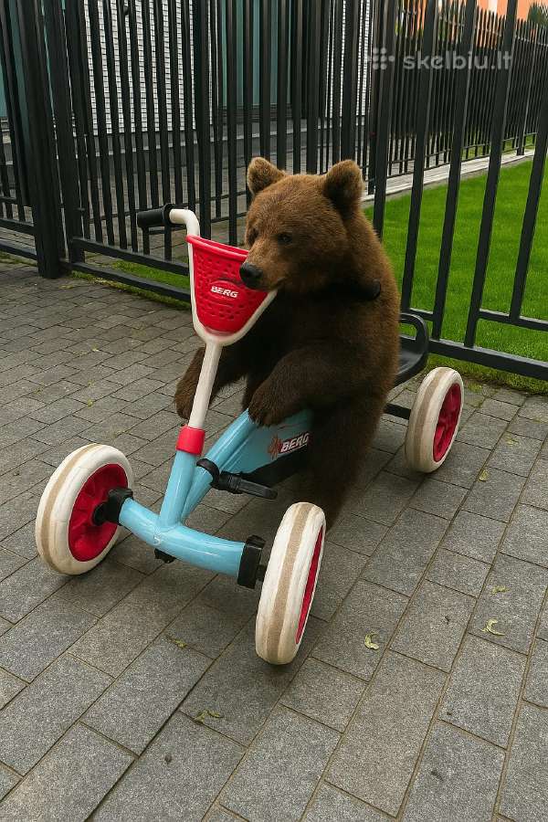 Minamas kartingas vaikams nuo 2 iki 5 metų