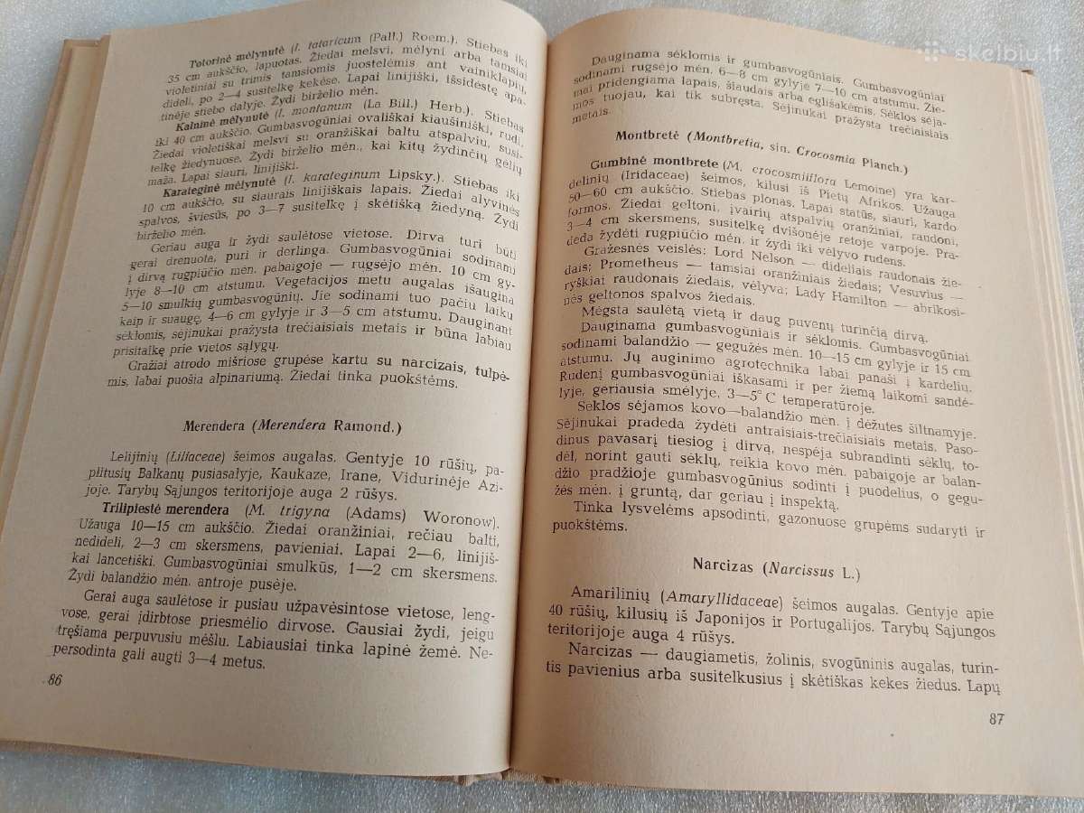 Gėlių auginimo vadovas - nuotraukos Nr. 3