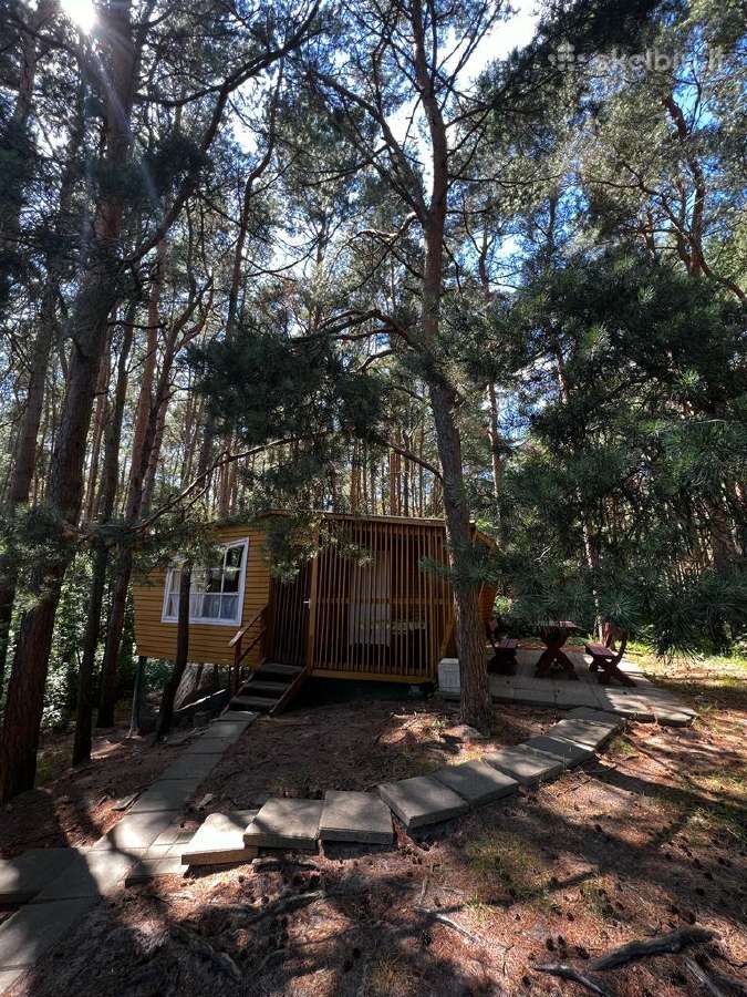 Šventojoje ,Namelių nuoma,pušyne,netoli jūros nuo - nuotraukos Nr. 15