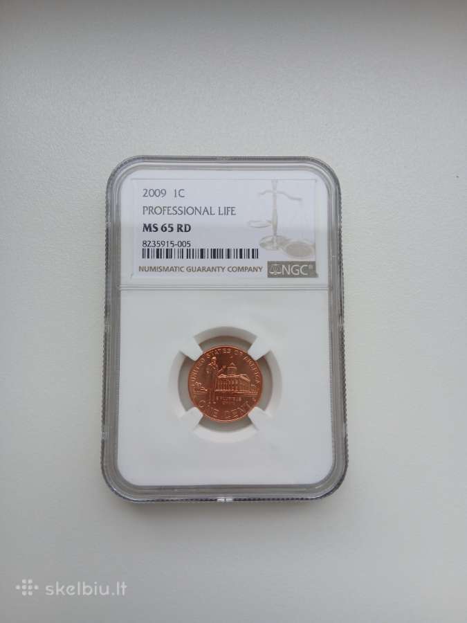 JAV 1 C Lincoln 2009 Early Childhood Rd - nuotraukos Nr. 8