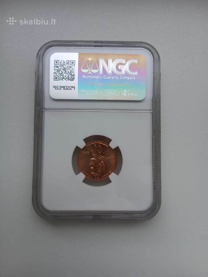 JAV 1 C Lincoln 2009 Early Childhood Rd - nuotraukos Nr. 9