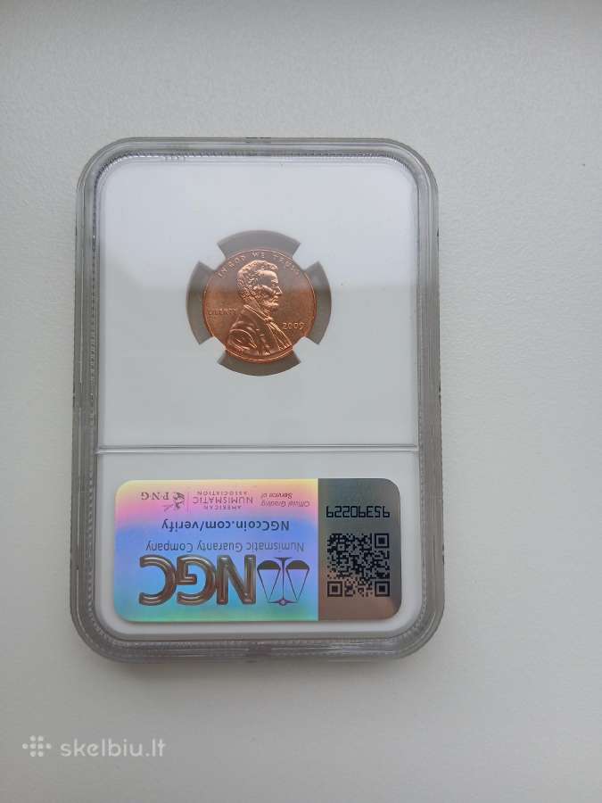 JAV 1 C Lincoln 2009 Early Childhood Rd - nuotraukos Nr. 2