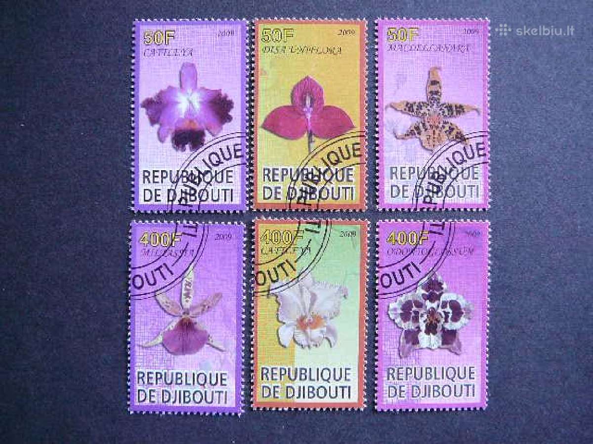 Orchidejos Geles Dzibutis 2009 antsp. s547c