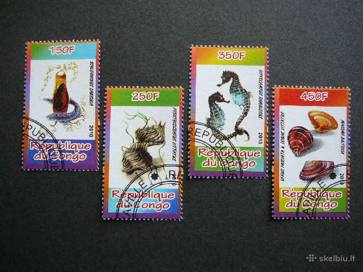 Kriaukles Juros fauna Kongas 2010 antsp. s598f