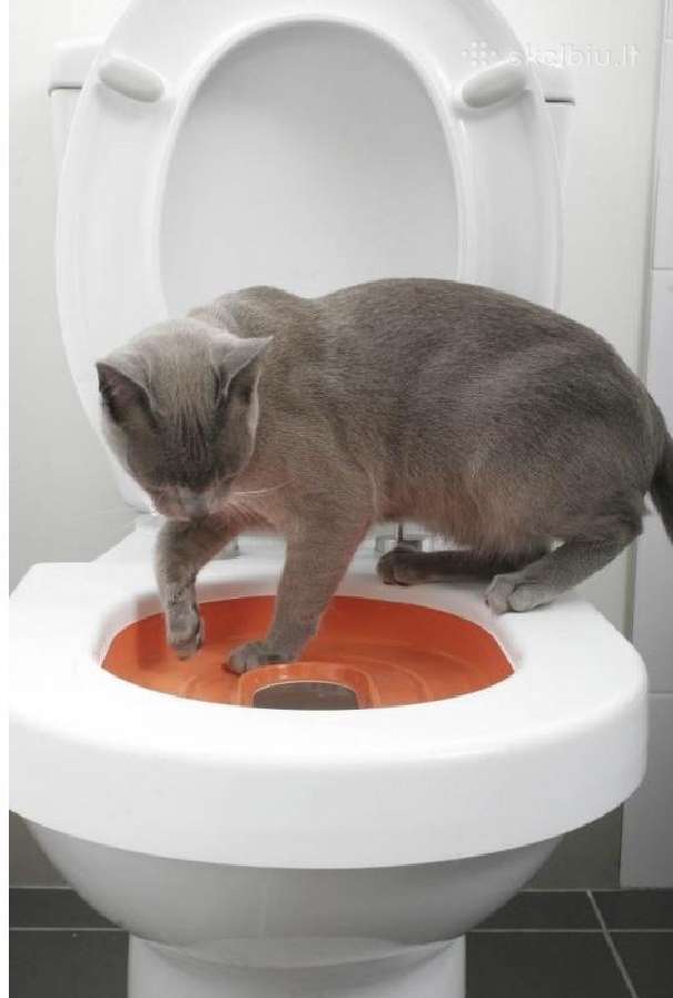 Cat toilet / kačių tualetas - nuotraukos Nr. 4