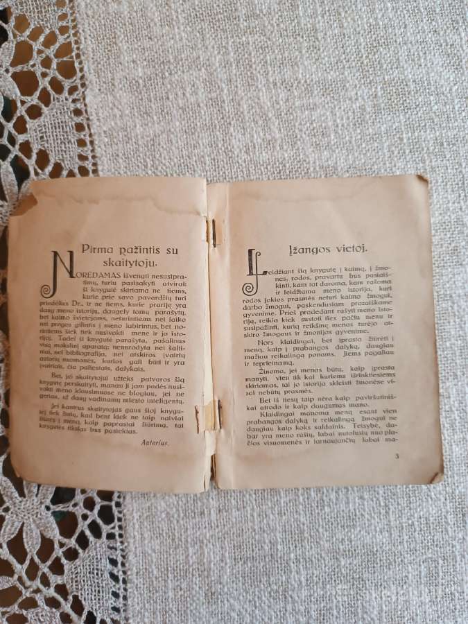 Sena knyga Ign.šlapelis Meno istorijos 1930m. - nuotraukos Nr. 7