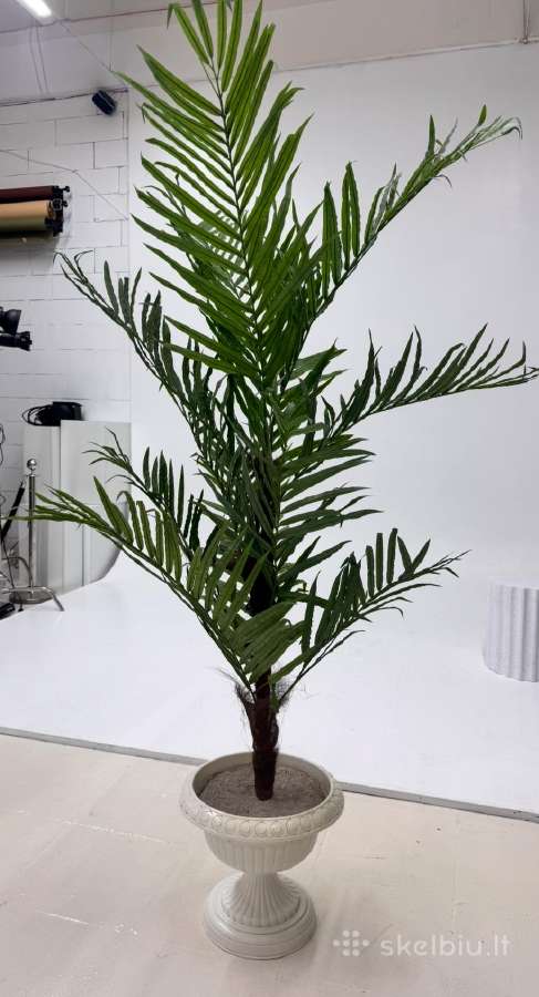 Dirbtine palme