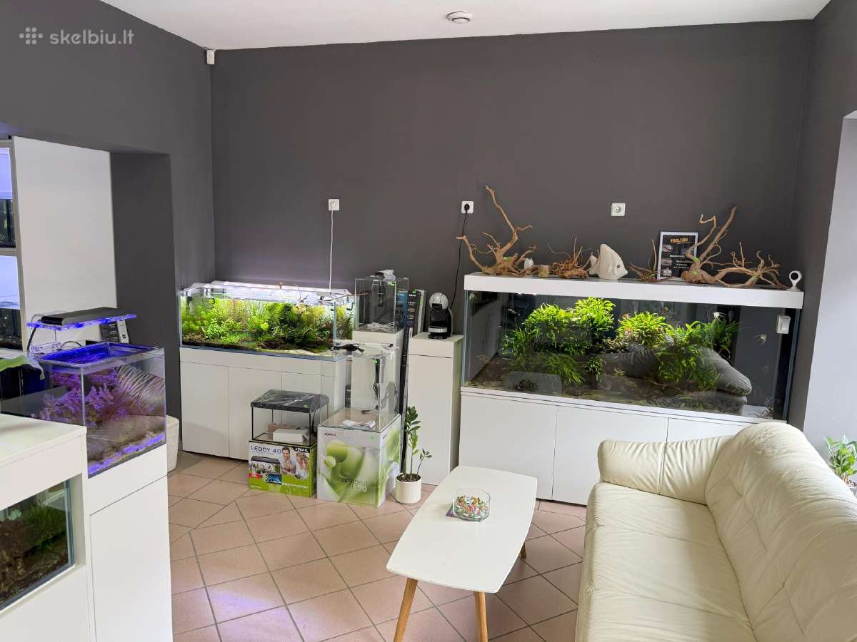 Akvariumų klijavimas, įrengimas, priežiūra - nuotraukos Nr. 21