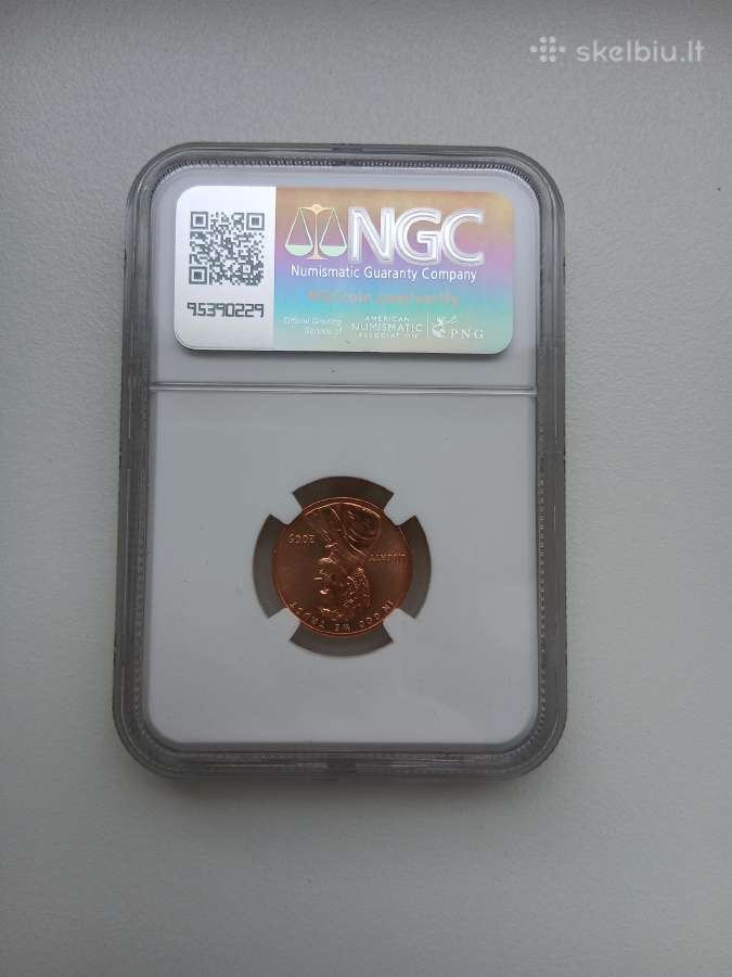 JAV 1 C Lincoln 2009 D Formative Years Rd - nuotraukos Nr. 5