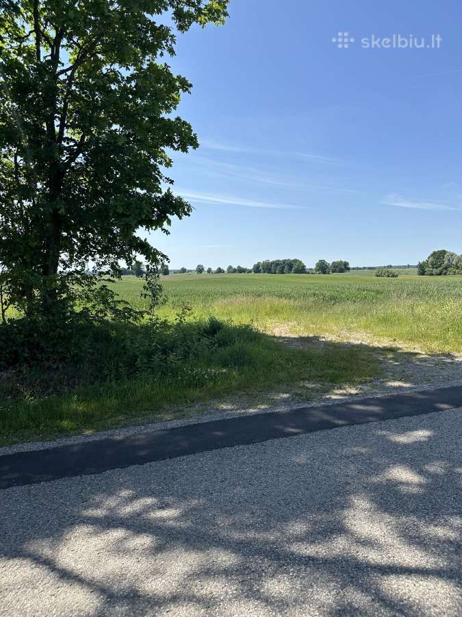 Parduodama Žemė – 1.17ha šalia Plūtiškių Km - nuotraukos Nr. 3