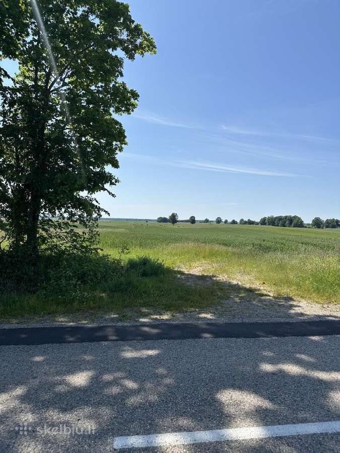 Parduodama Žemė – 1.17ha šalia Plūtiškių Km - nuotraukos Nr. 4