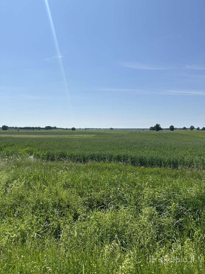 Parduodama Žemė – 1.17ha šalia Plūtiškių Km - nuotraukos Nr. 5