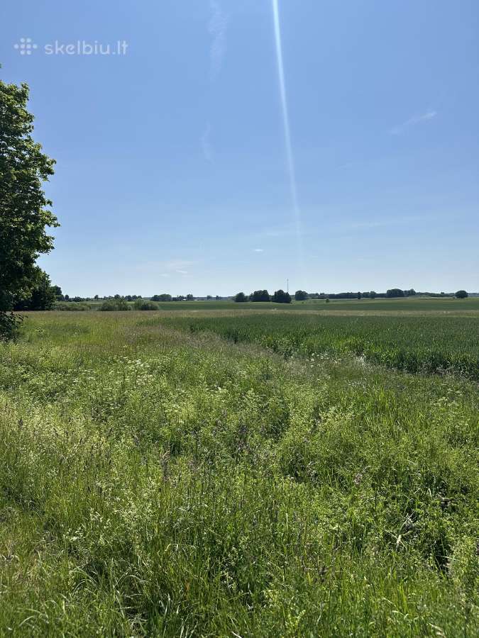 Parduodama Žemė – 1.17ha šalia Plūtiškių Km - nuotraukos Nr. 6