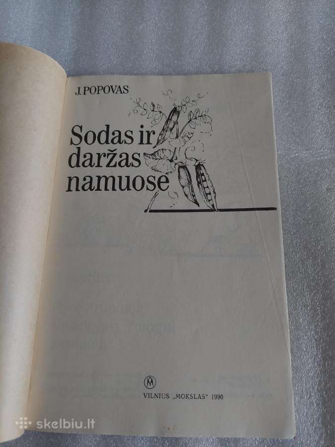 Sodas ir daržas namuose - nuotraukos Nr. 2