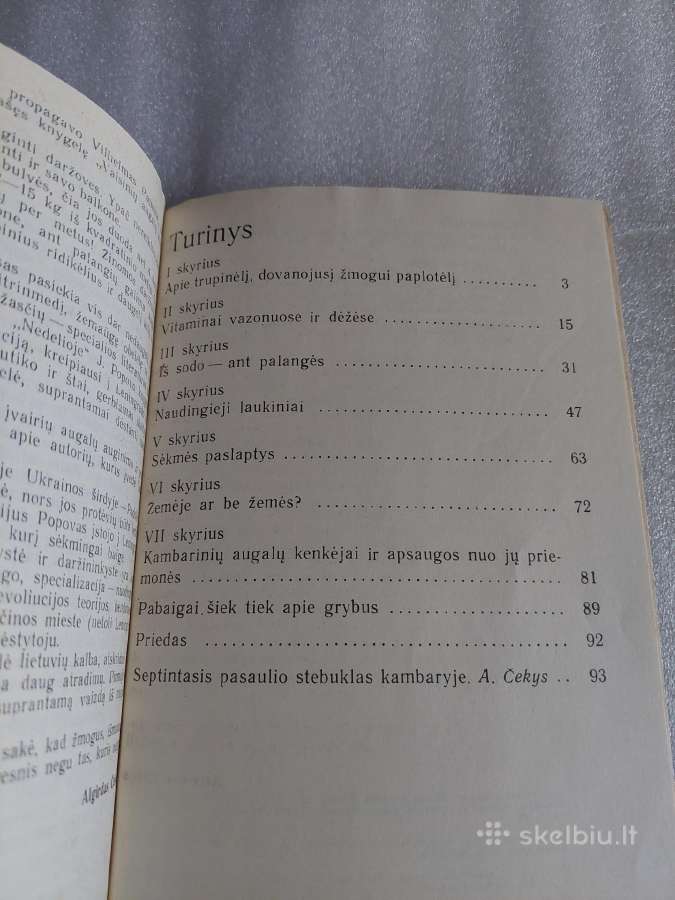 Sodas ir daržas namuose - nuotraukos Nr. 5