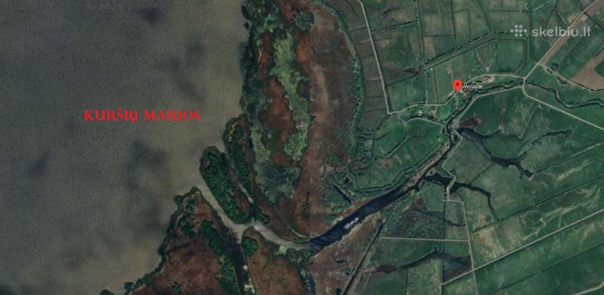 Parduodamas unikalus žemės sklypas Rusnės saloje - nuotraukos Nr. 6