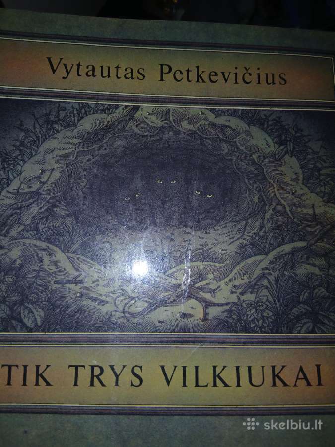 Senos vaikiškos knygutės - nuotraukos Nr. 2
