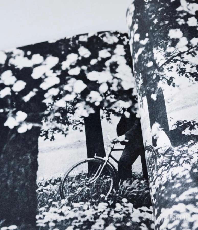 Romualdo Rakausko Žydėjimas