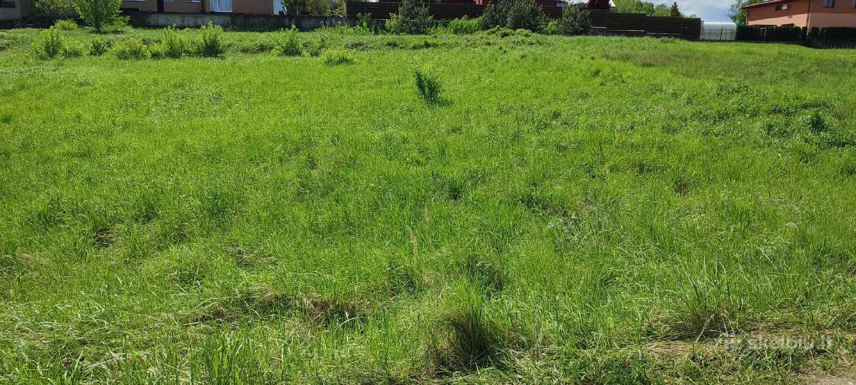 Namų valdos žemės sklypai Stoties g. Alytuje - nuotraukos Nr. 7