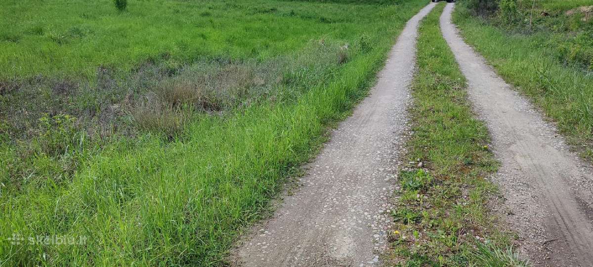 Namų valdos žemės sklypai Stoties g. Alytuje - nuotraukos Nr. 12
