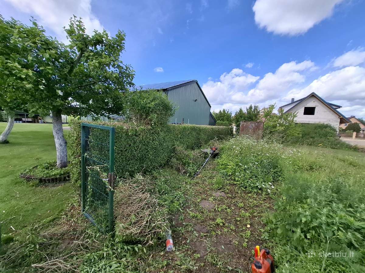 Gyvatvorių genėjimas,vejos pjovimas,skarifikavimas - nuotraukos Nr. 21