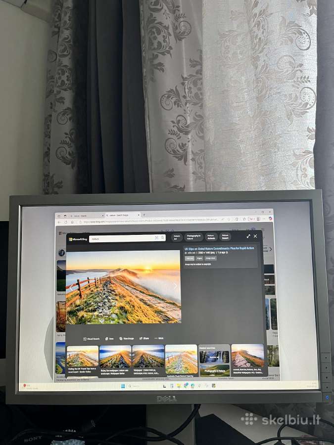 Monitorius Dell P2210