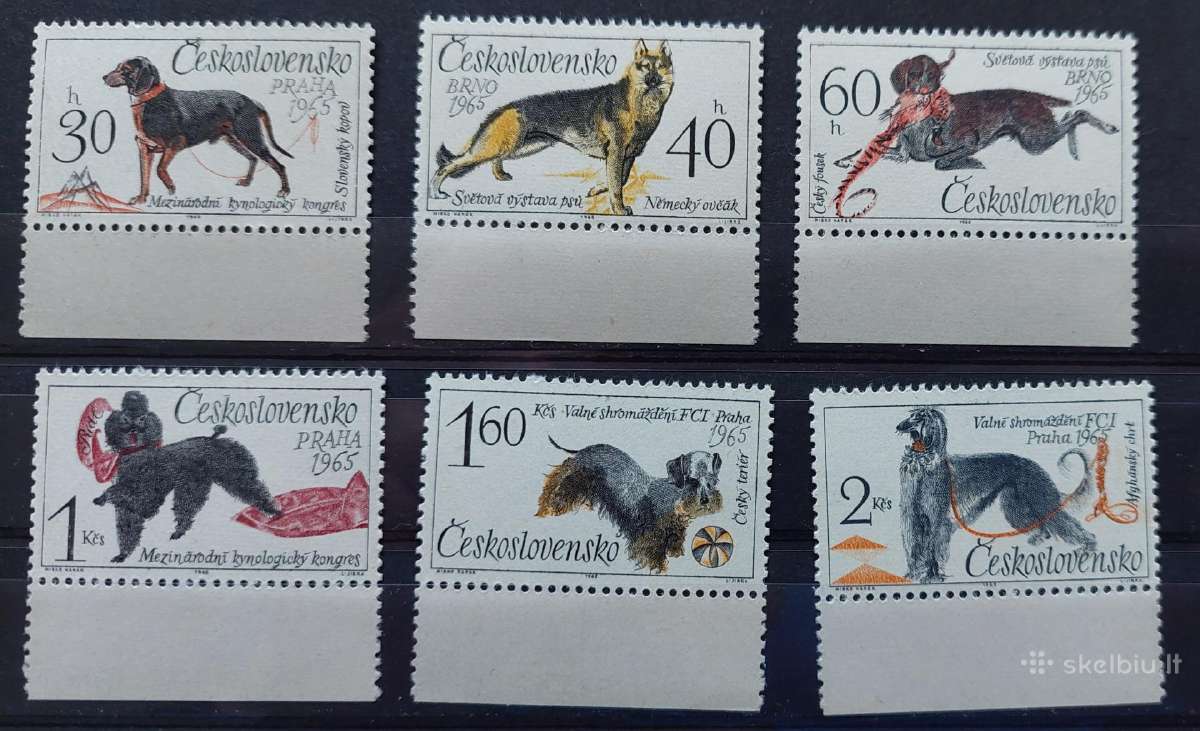Čekoslovakija 1965 Šunis