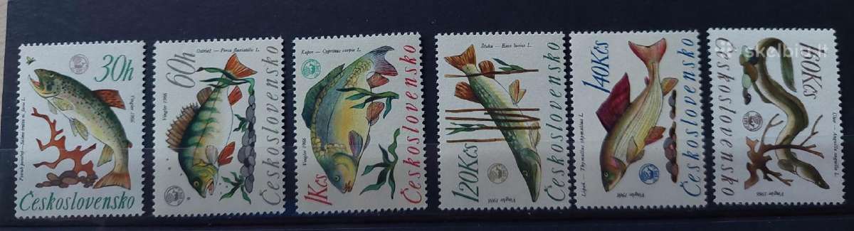 Čekoslovakija 1966 žuvis