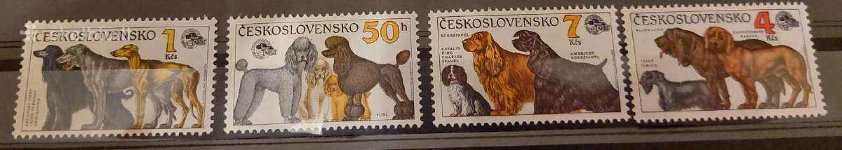 Čekoslovakija 1990 šunis