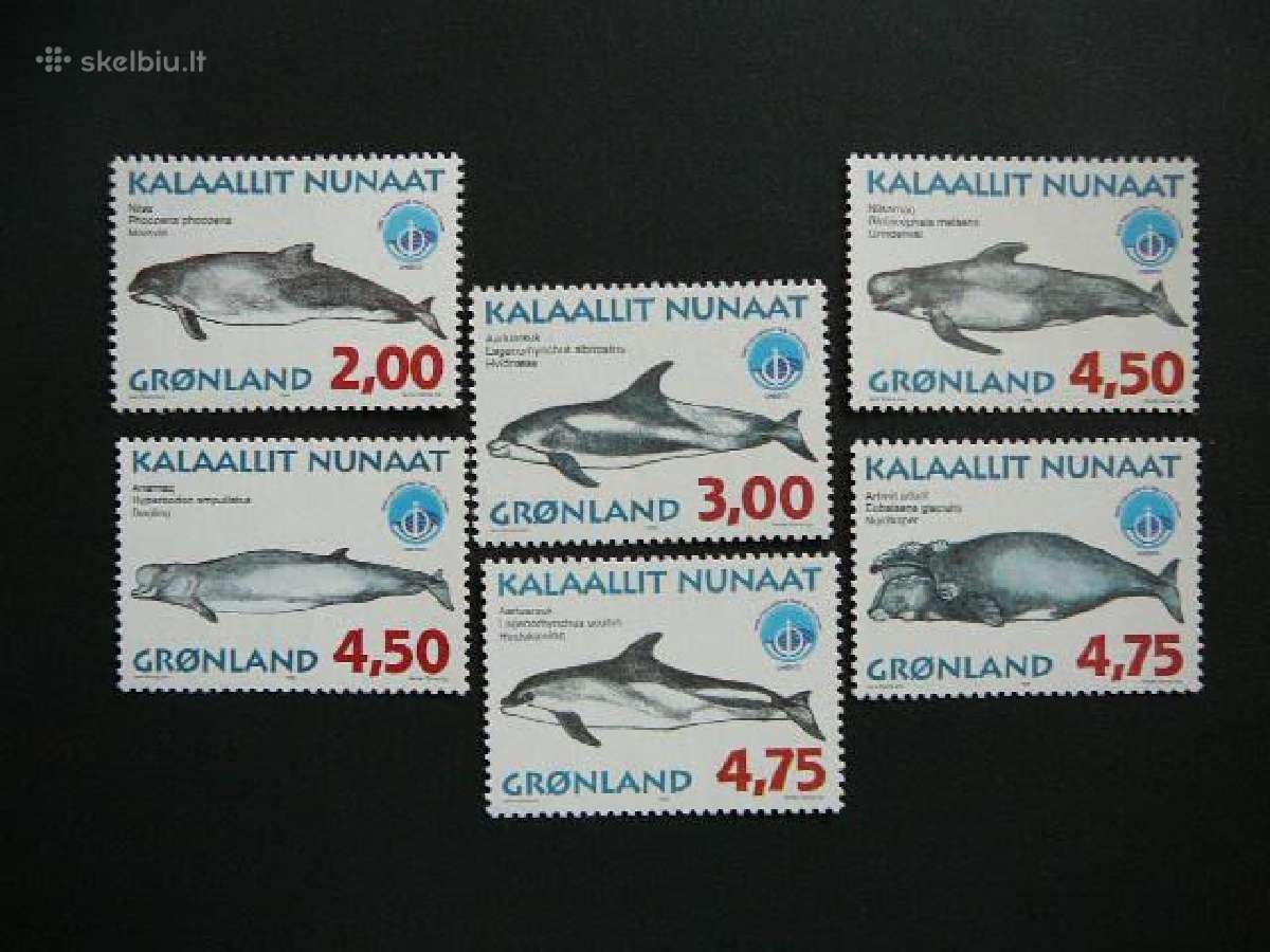 Banginiai Delfinai Grenlandija 1998 svarus grn316