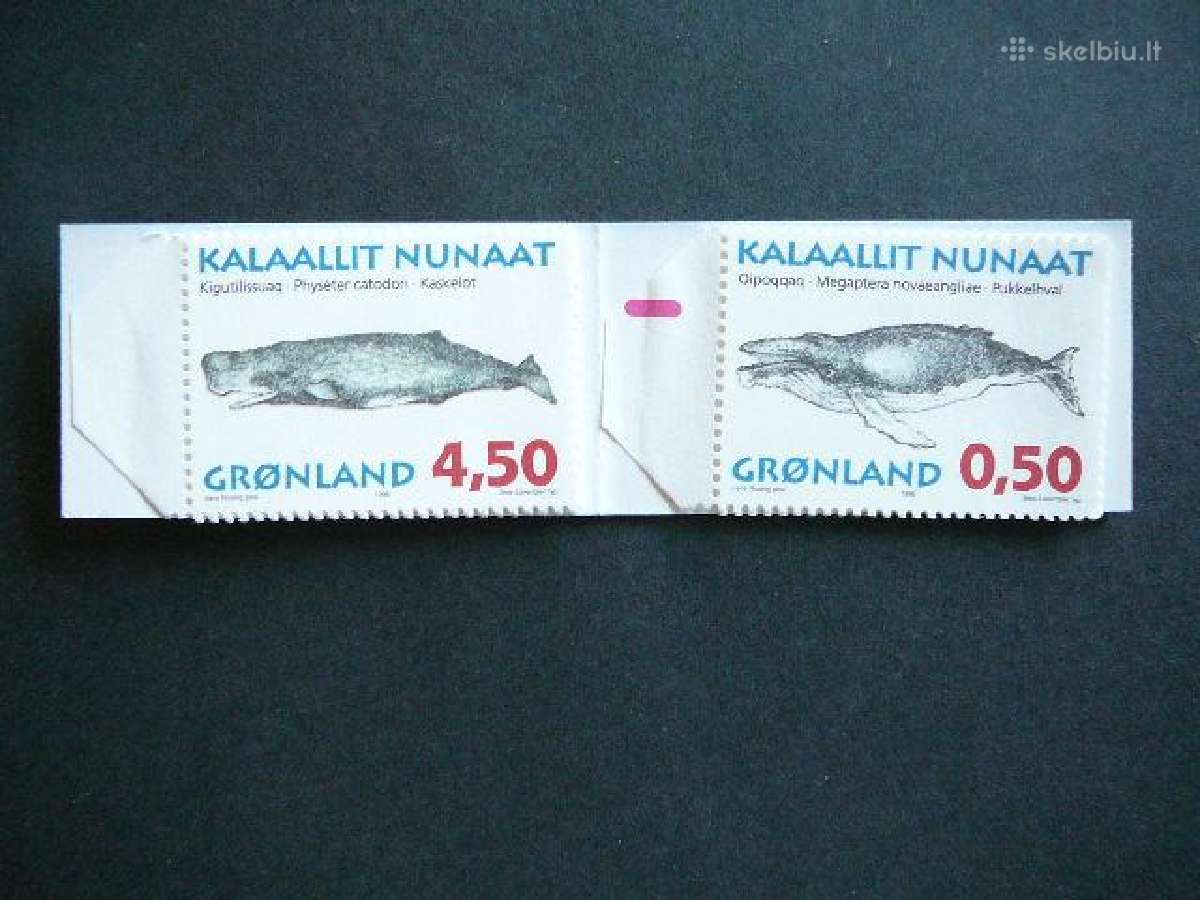 Banginiai Delfinai Grenlandija 1996 svarus grn287