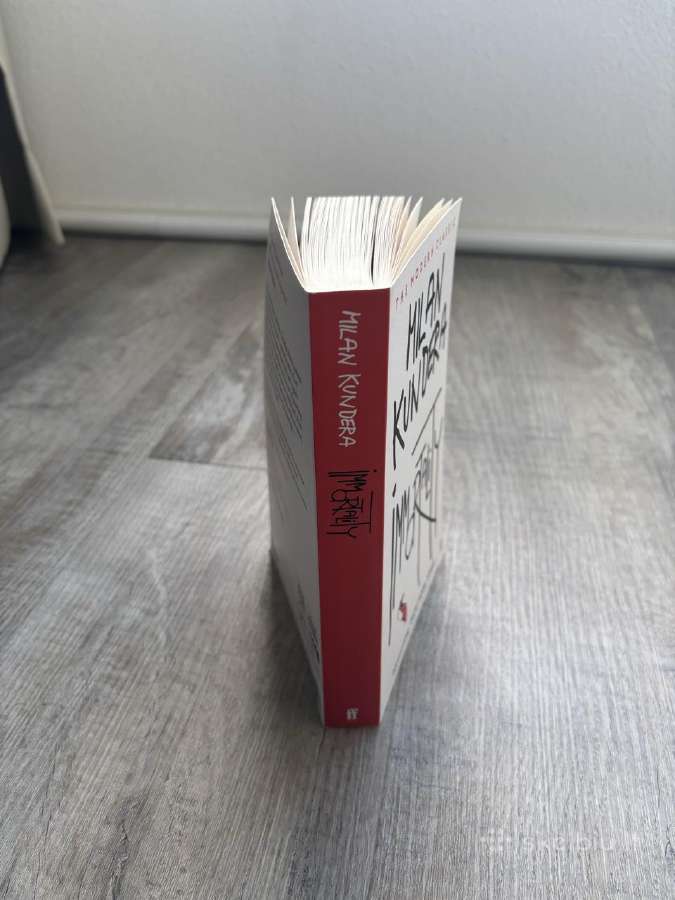 Milan Kundera knyga "Immortality" - nuotraukos Nr. 3