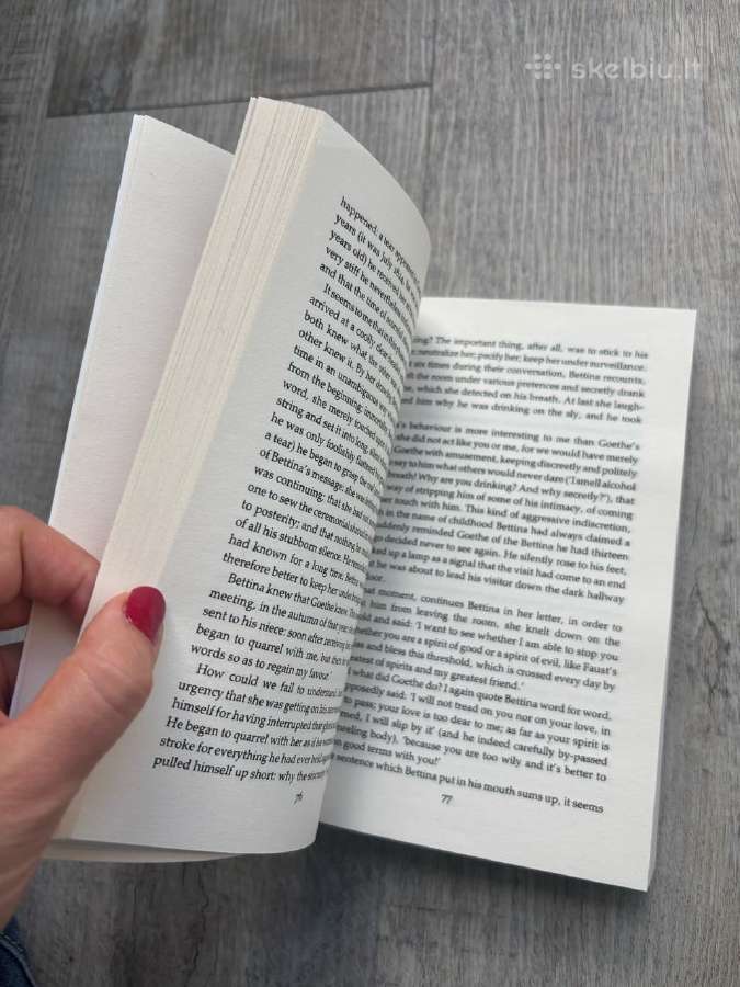 Milan Kundera knyga "Immortality" - nuotraukos Nr. 6