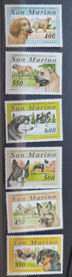 San Marino 1994 šunis