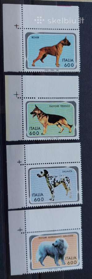 Italija 1994 šunis