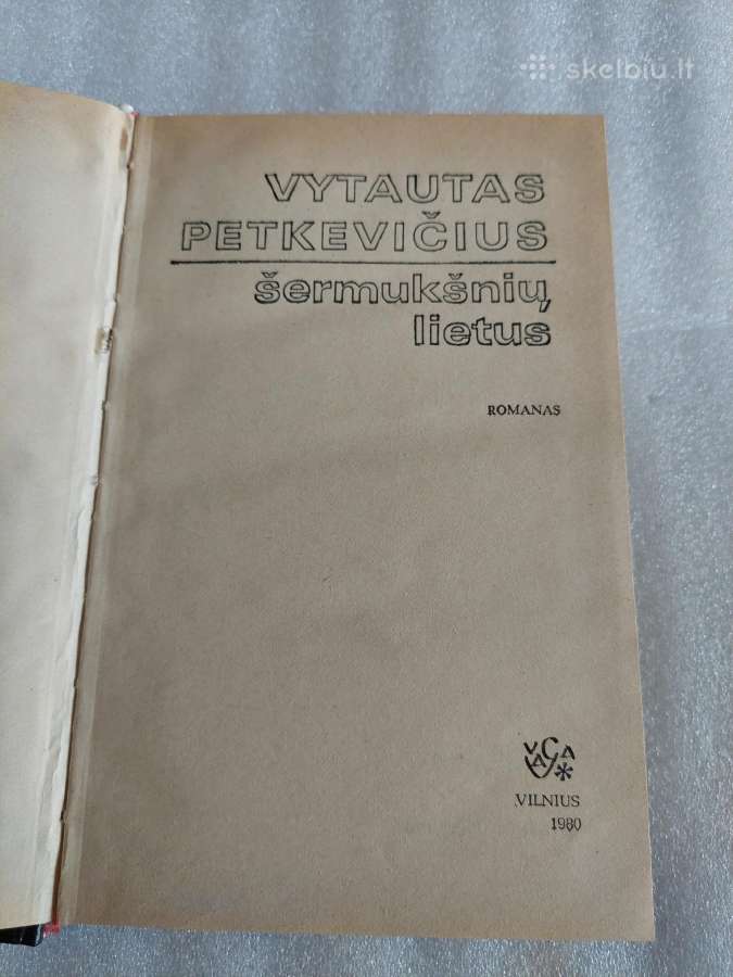 Šermukšnių lietus - nuotraukos Nr. 2