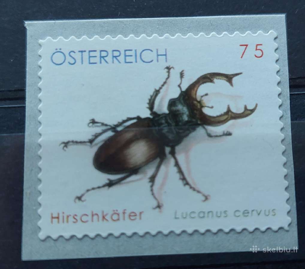 Austrija 2007 vabzdys,