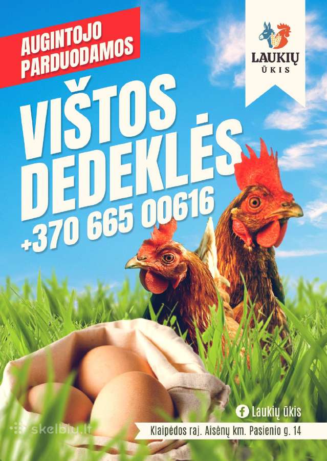 Vištos dedeklės Laukių ūkis