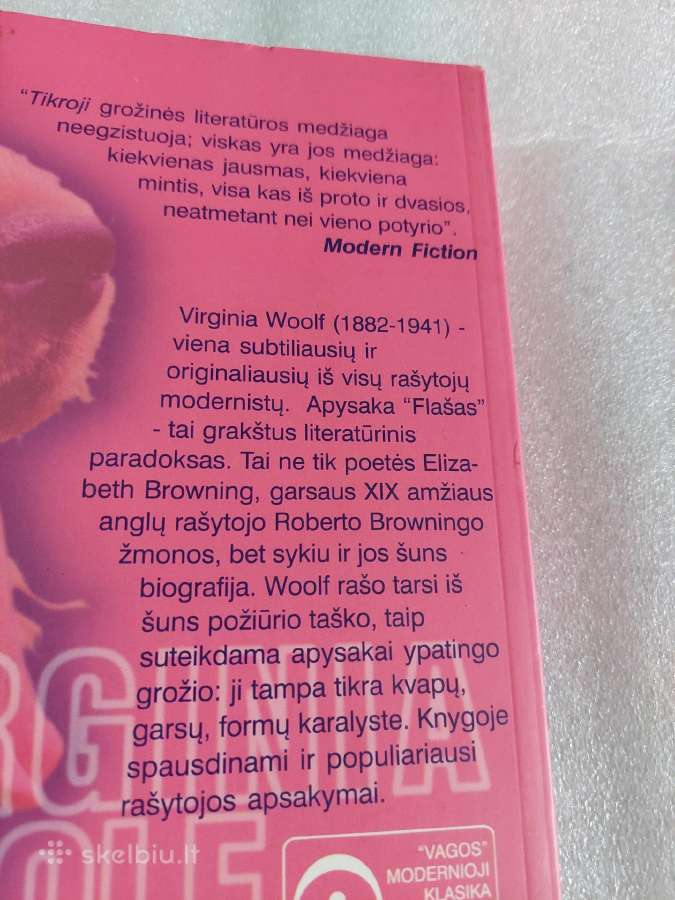 Flašas - nuotraukos Nr. 4