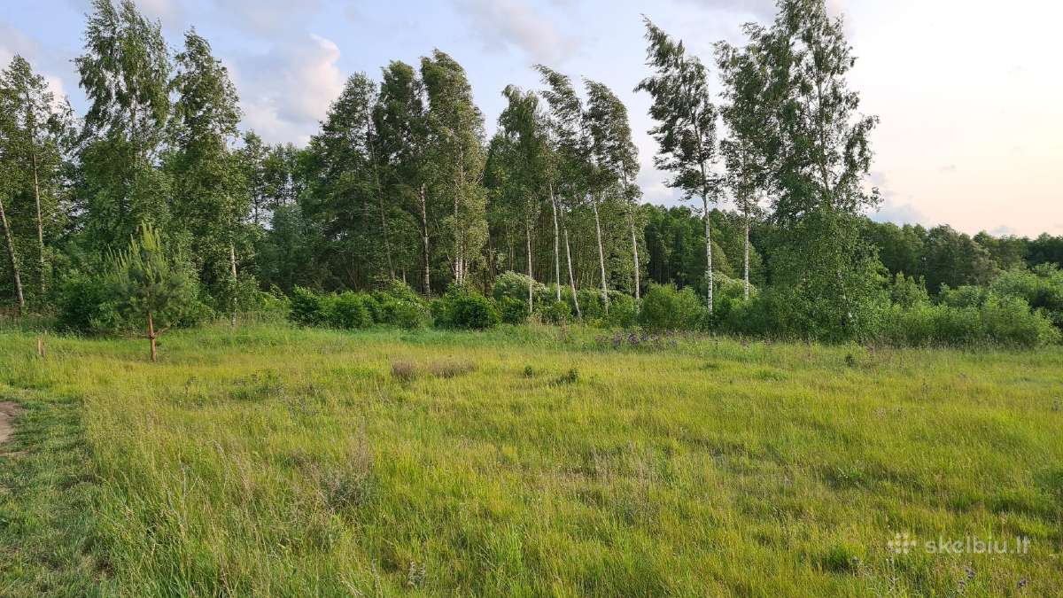 Parduodu žemės sklypą netoli Seirijo ežero - nuotraukos Nr. 3