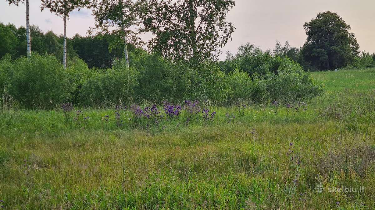 Parduodu žemės sklypą netoli Seirijo ežero - nuotraukos Nr. 4