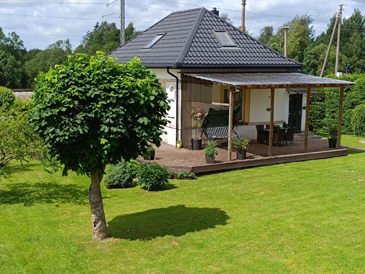 Jaukus vienkiemis