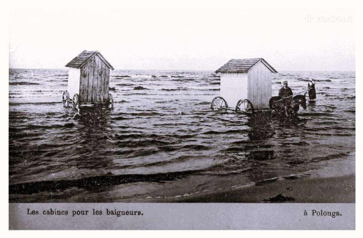 Palanga 11 vnt Atviruku - nuotraukos Nr. 9