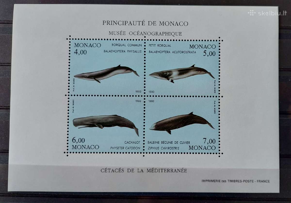 Monakas 1993 banginai, švarus