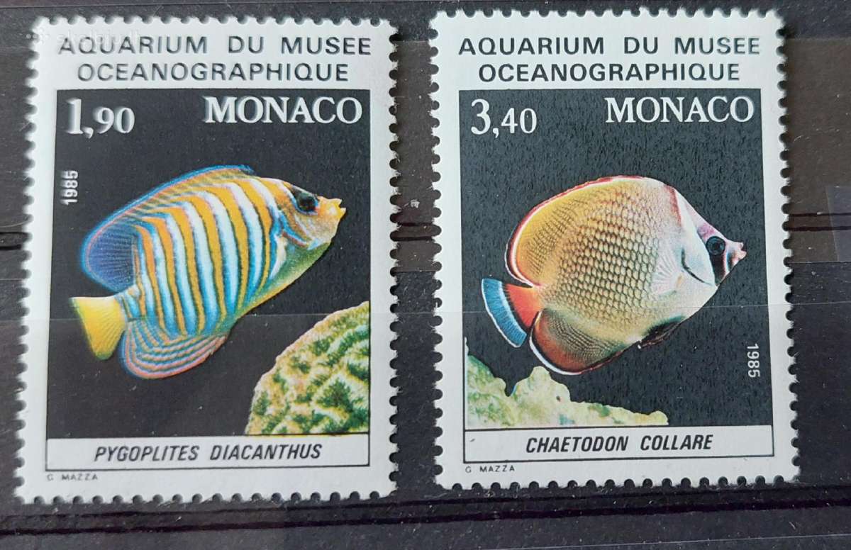 Monakas 1986 žuvis, švarus,