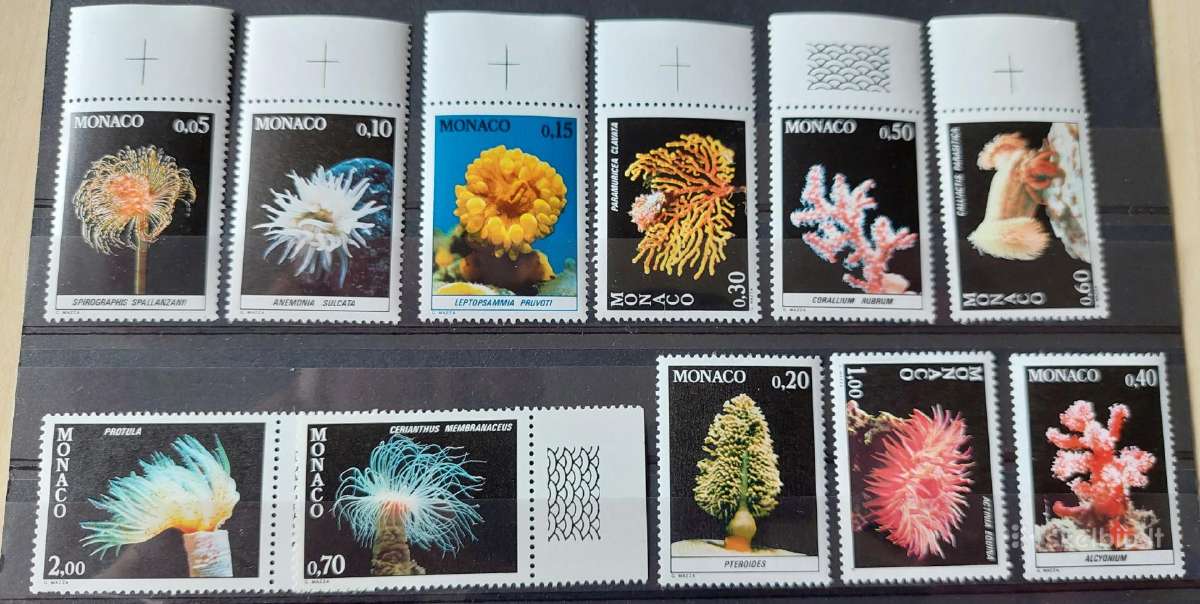 Monakas 1980 jūros fauna, švarus,